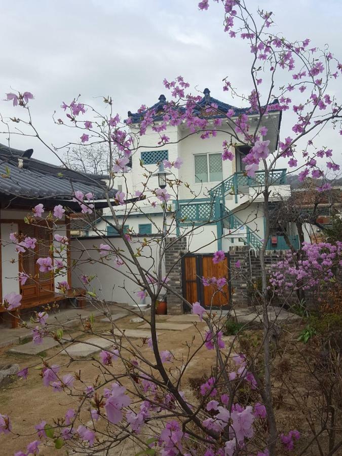 Ohnewwall Guesthouse جيونجو المظهر الخارجي الصورة